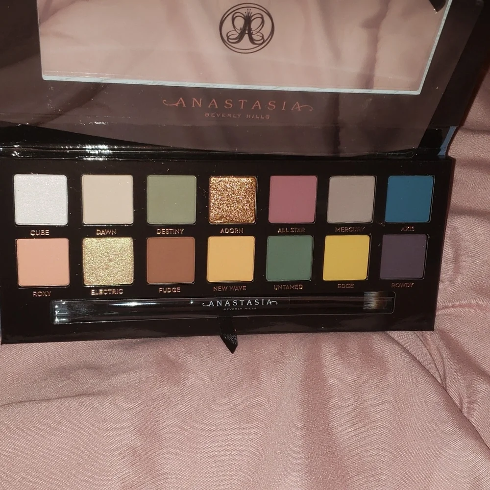 Anastasia Beverly Hills  Subculture eyeshadow palette.